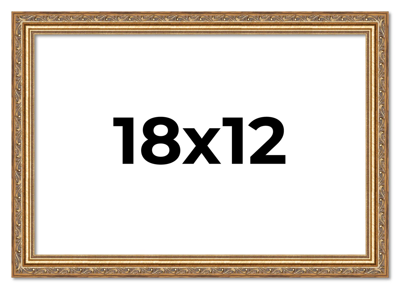 18x12 Solid Wood Antique Picture Frame with UV-Resistant Acrylic & Acid-Free Backing, Available in 4 Finishes: Bronze, Gold, Silver, and Gold with Black